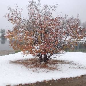 Meet your Posher, Deb